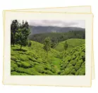 Kerala tour package with price